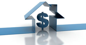 Residential Loan Application